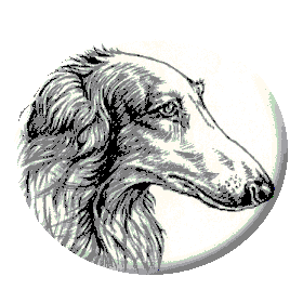 ボルゾイ犬の画像